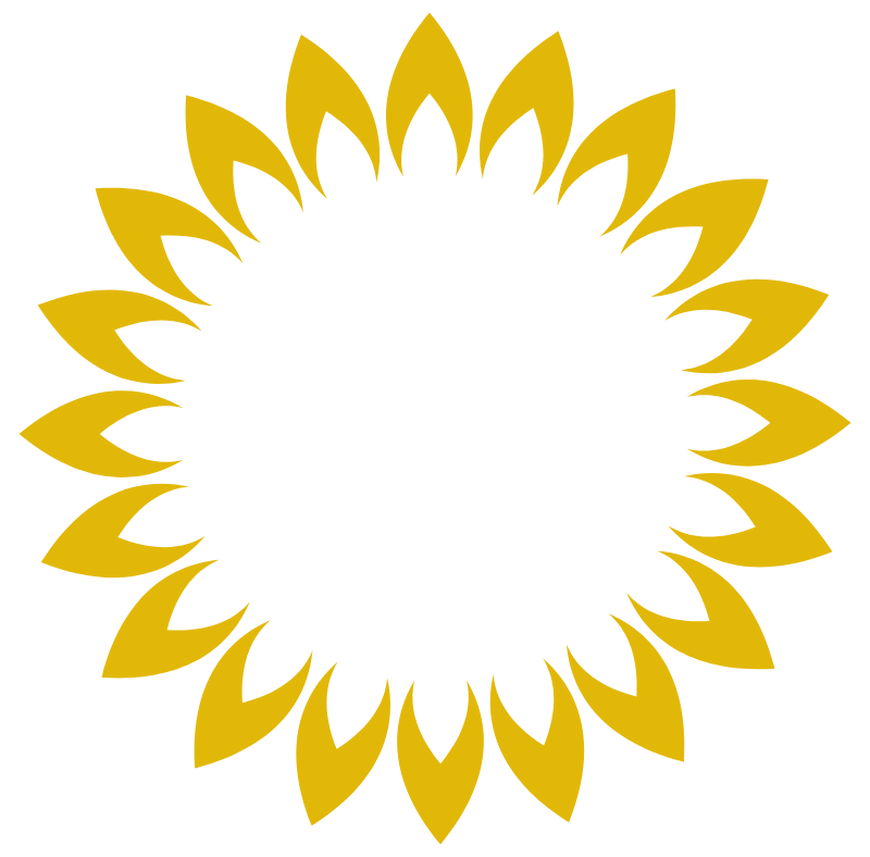 Reiki Healing and Spiritual Transformation representation
